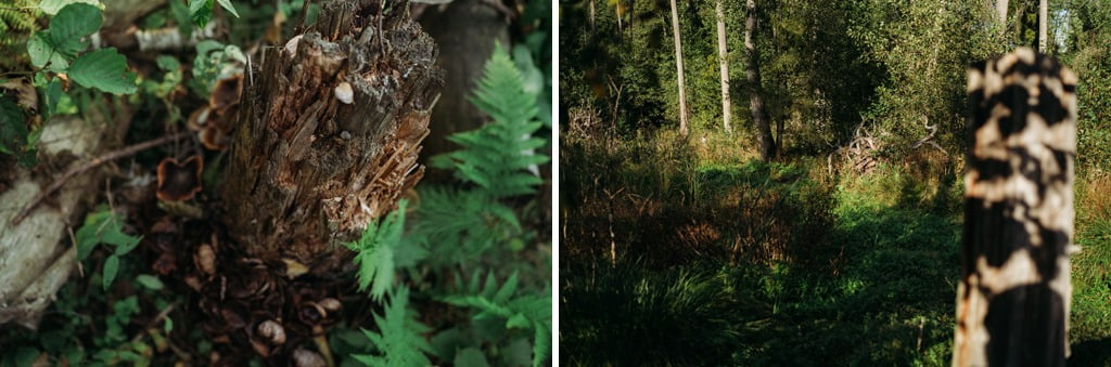 Piękne miejsce na plener ślubny